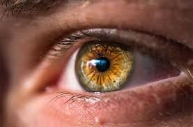 3 Poems In One Video